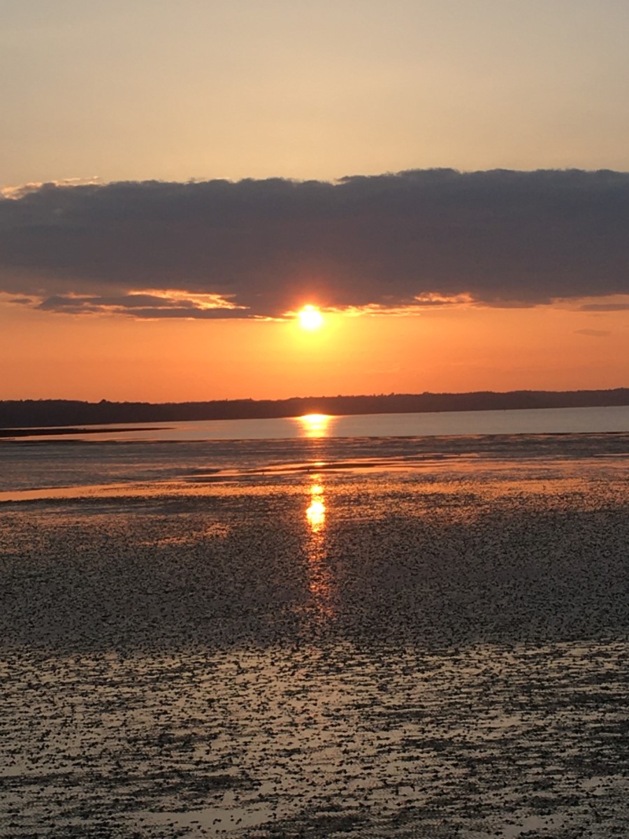 Beautiful Sunset Ryde Pier ~ Photo Credit Helen Watson