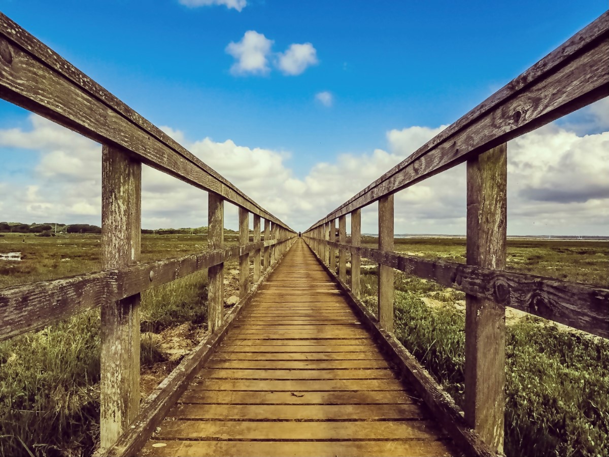 Bridge Newtown Creek ~ Photo Credit Nath Thorley