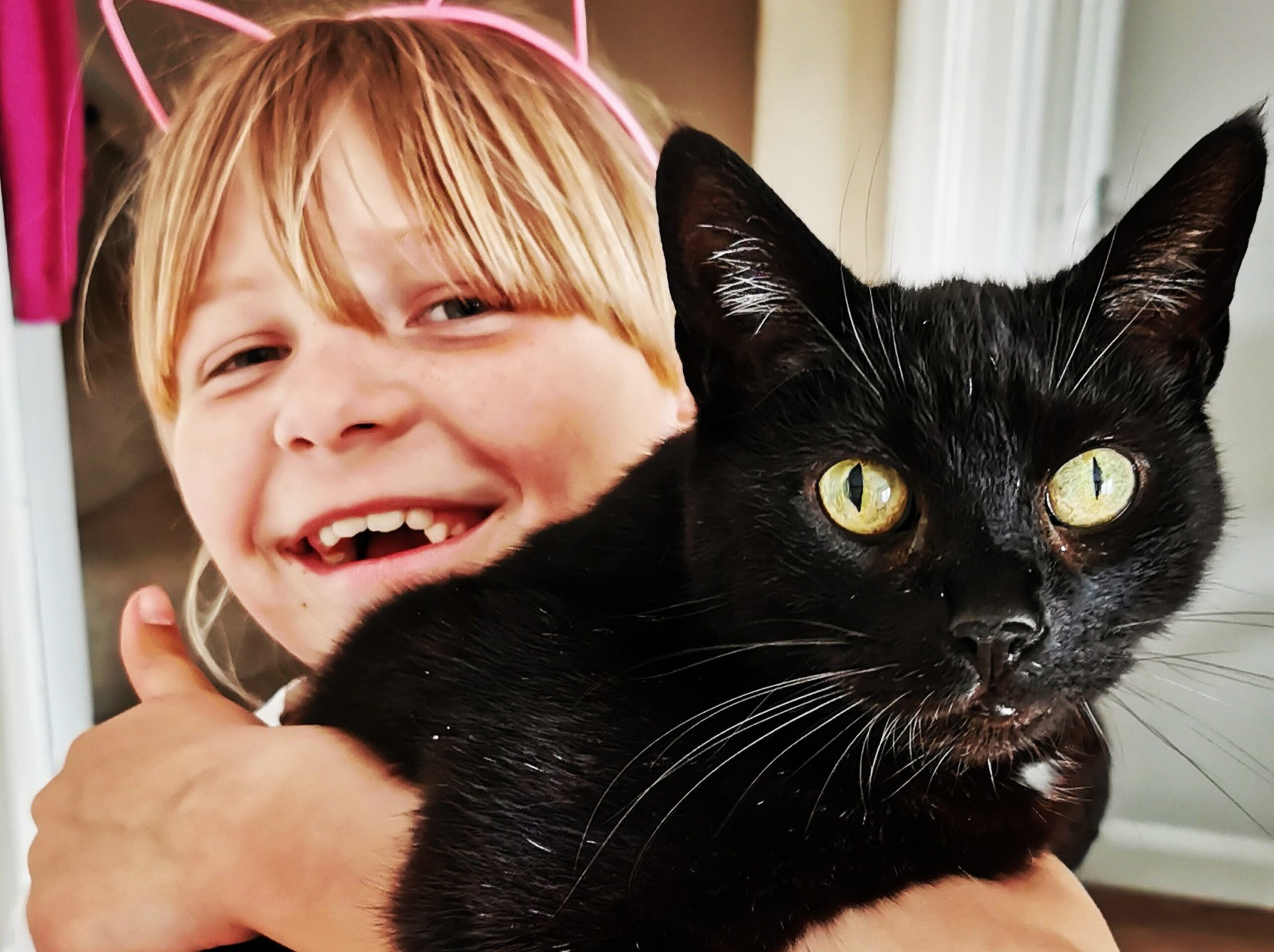 OVER £1000 RAISED BY CAT-LOVING 8-YEAR-OLD FOR PROTECTION CHARITY