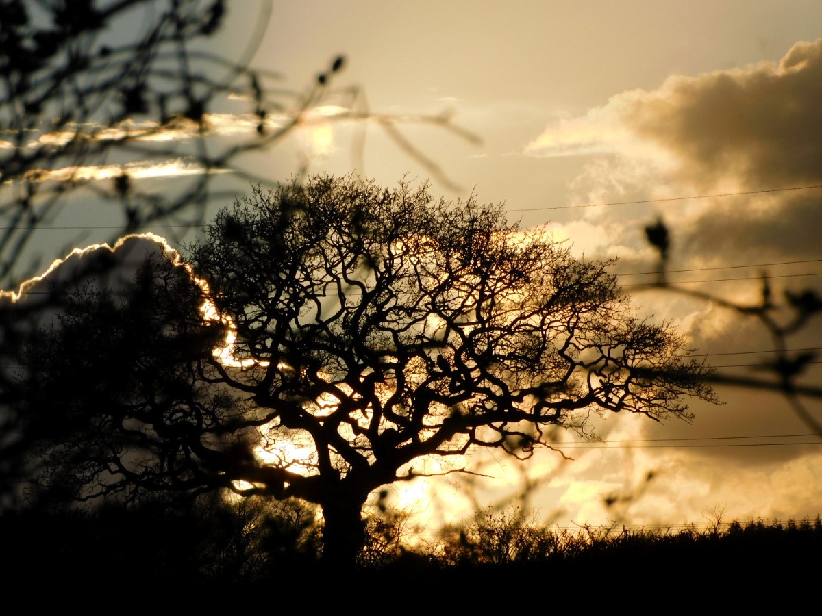 Cloudy Sunset Newport ~ Photo Credit Andrew Richardson