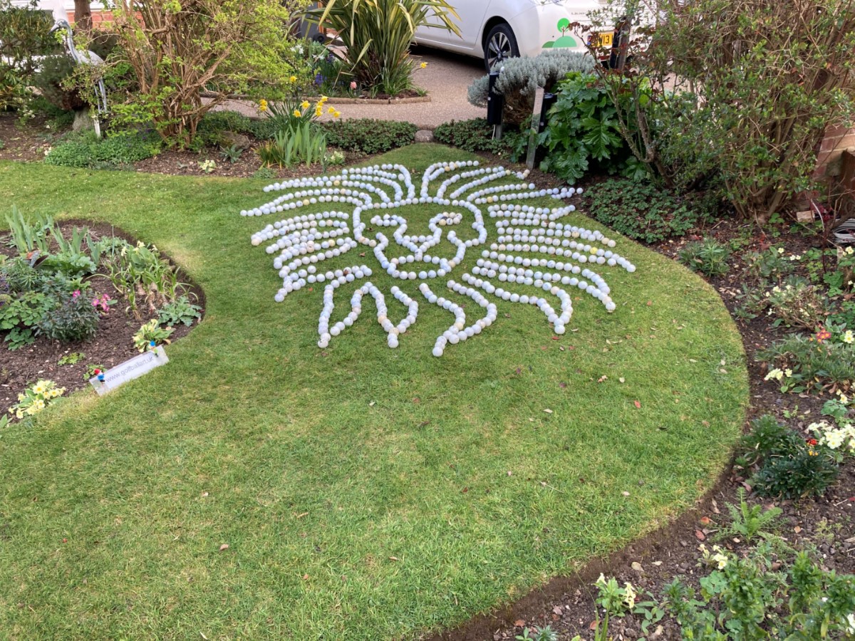 Lion Seen In Binstead Church Road, Binstead. ~ Photo Credit Brett Clark