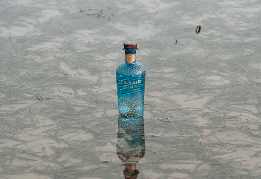 MERMAID GIN MAKERS COMMIT SUPPORT TO SOLENT SEAGRASS RESTORATION