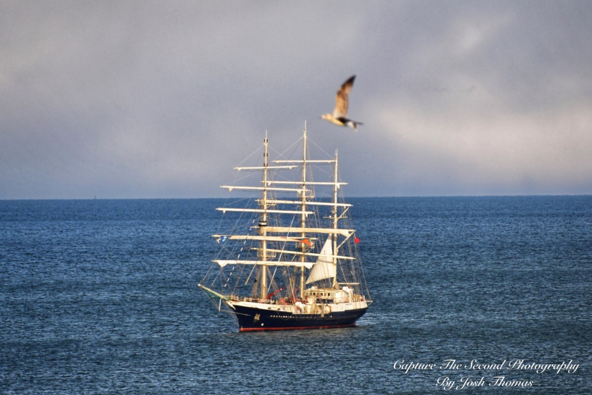 Pirates In The Bay Arrrr ~ Photo Credit Josh Thomas