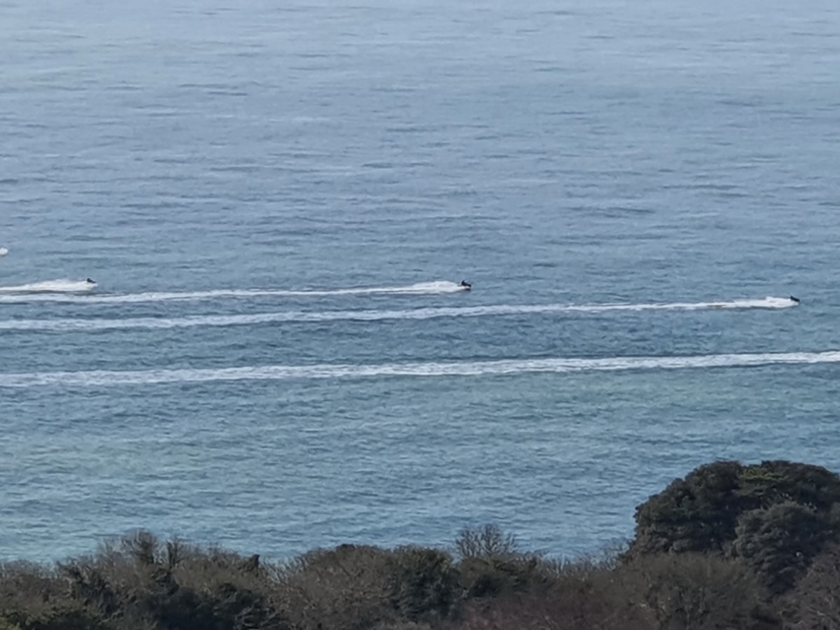 Race At Ventnor Ventnor ~ Photo Credit Ross Law