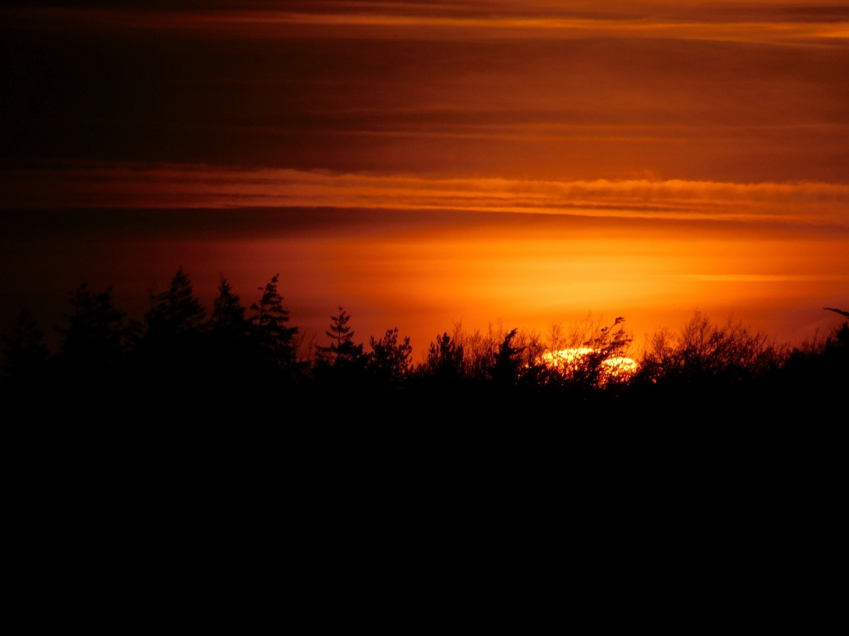 Sunset Newport ~ Photo Credit Andrew Richardson