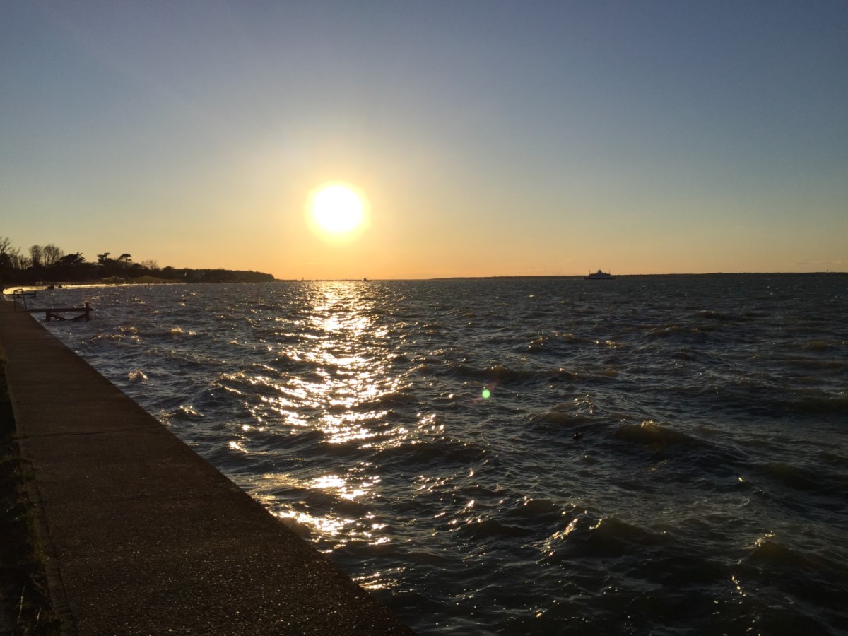 Sunset Duck Yarmouth ~ Photo Credit Yjc