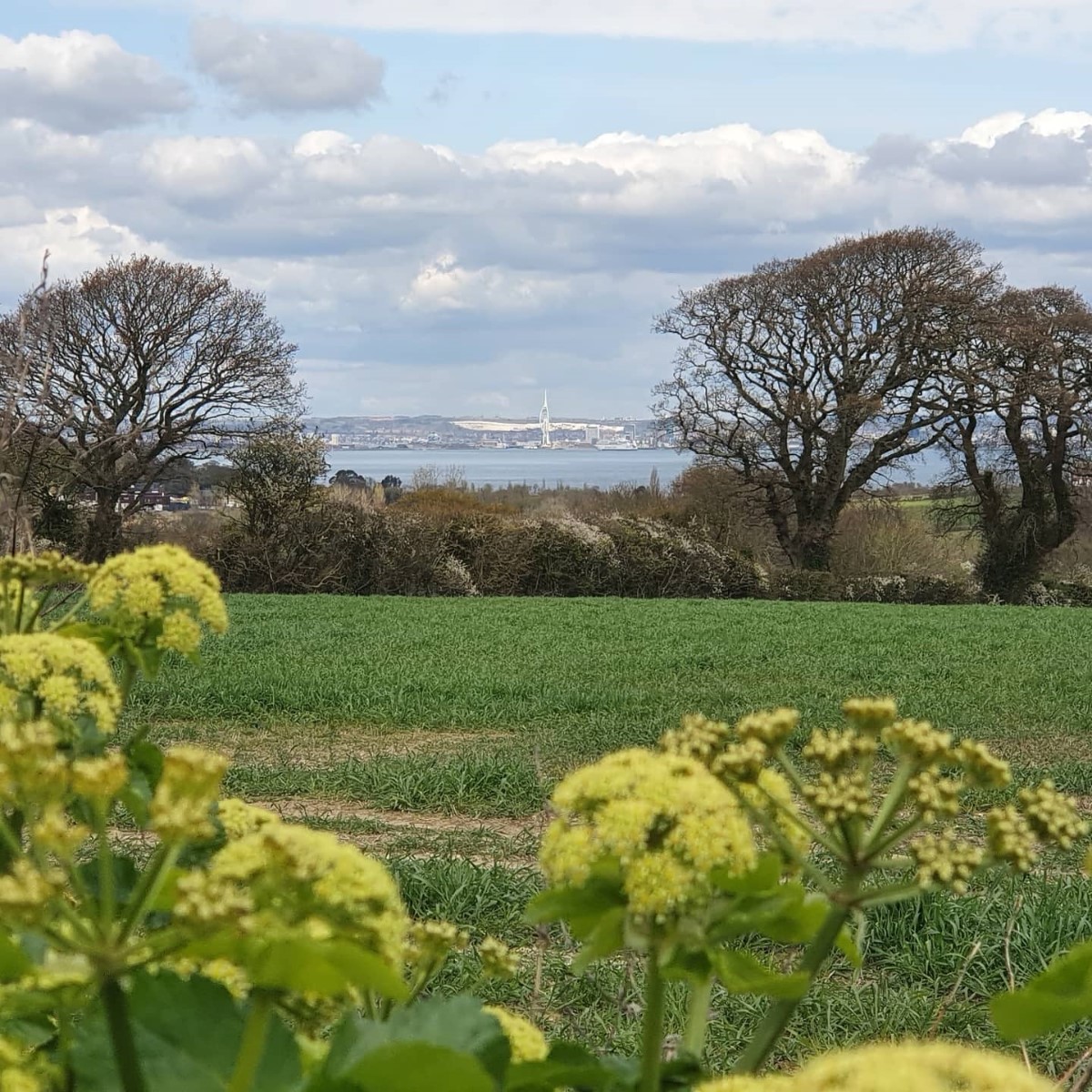 Walk Down Attrils Lane, Nettlestone ~ Photo Credit Linda Scott