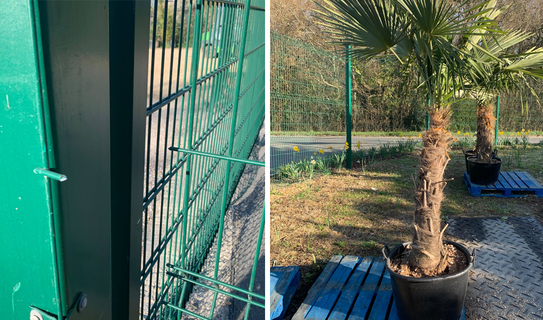 FENCE CUT AND ITEMS STOLEN AS SUSPECTED THIEVES STRIKE NEWPORT NURSERY