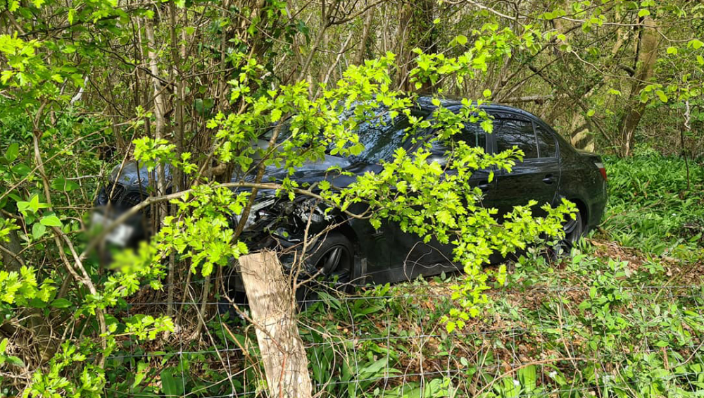 NO INJURIES OR ARRESTS AFTER BMW CRASHES INTO TREE