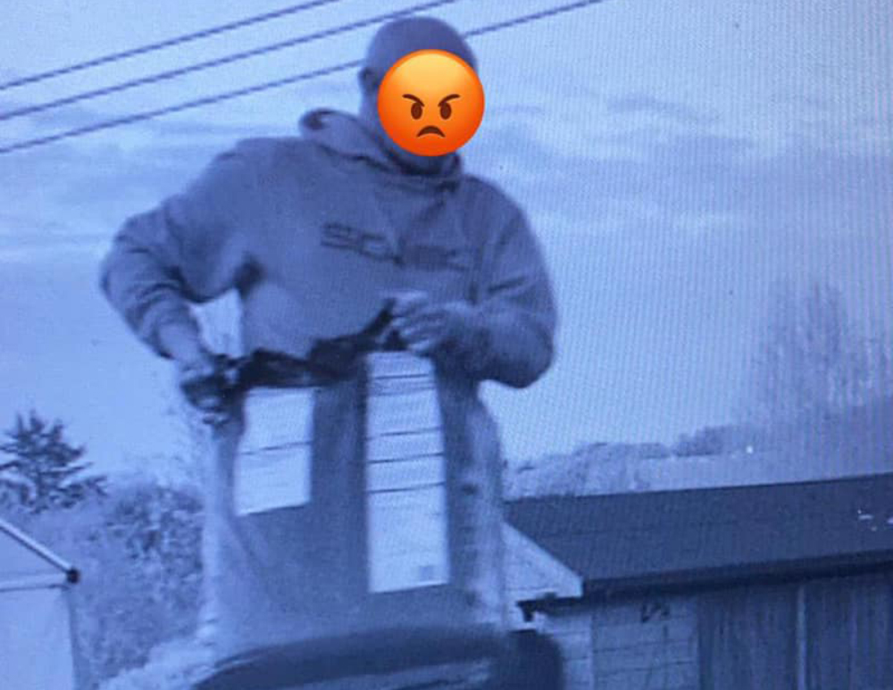 MAN CAUGHT STEALING COMPOST FROM CHILDREN’S ALLOTMENT IN RYDE