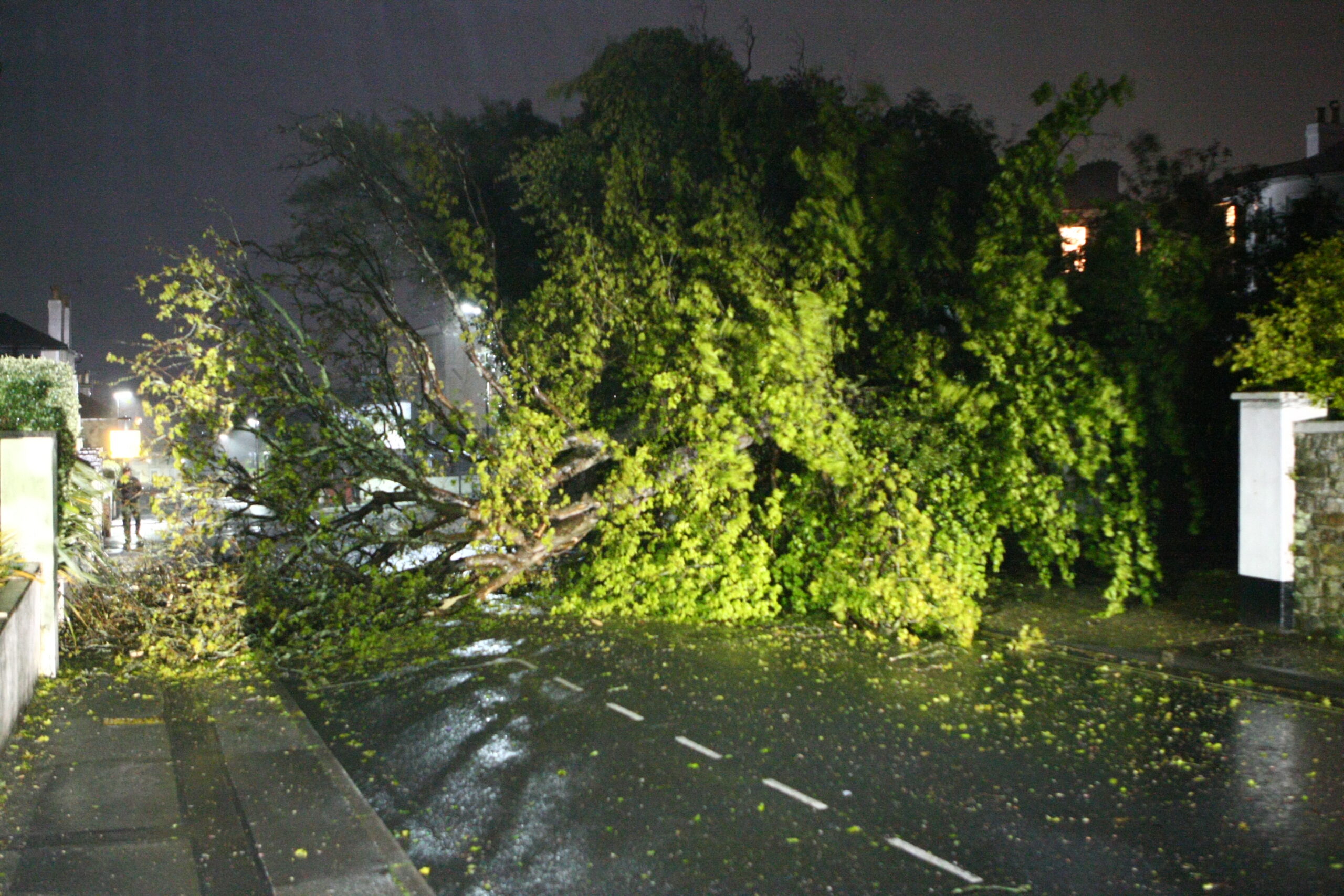 TREES DOWN AND FERRIES DISRUPTED AS STORMY WEATHER HITS