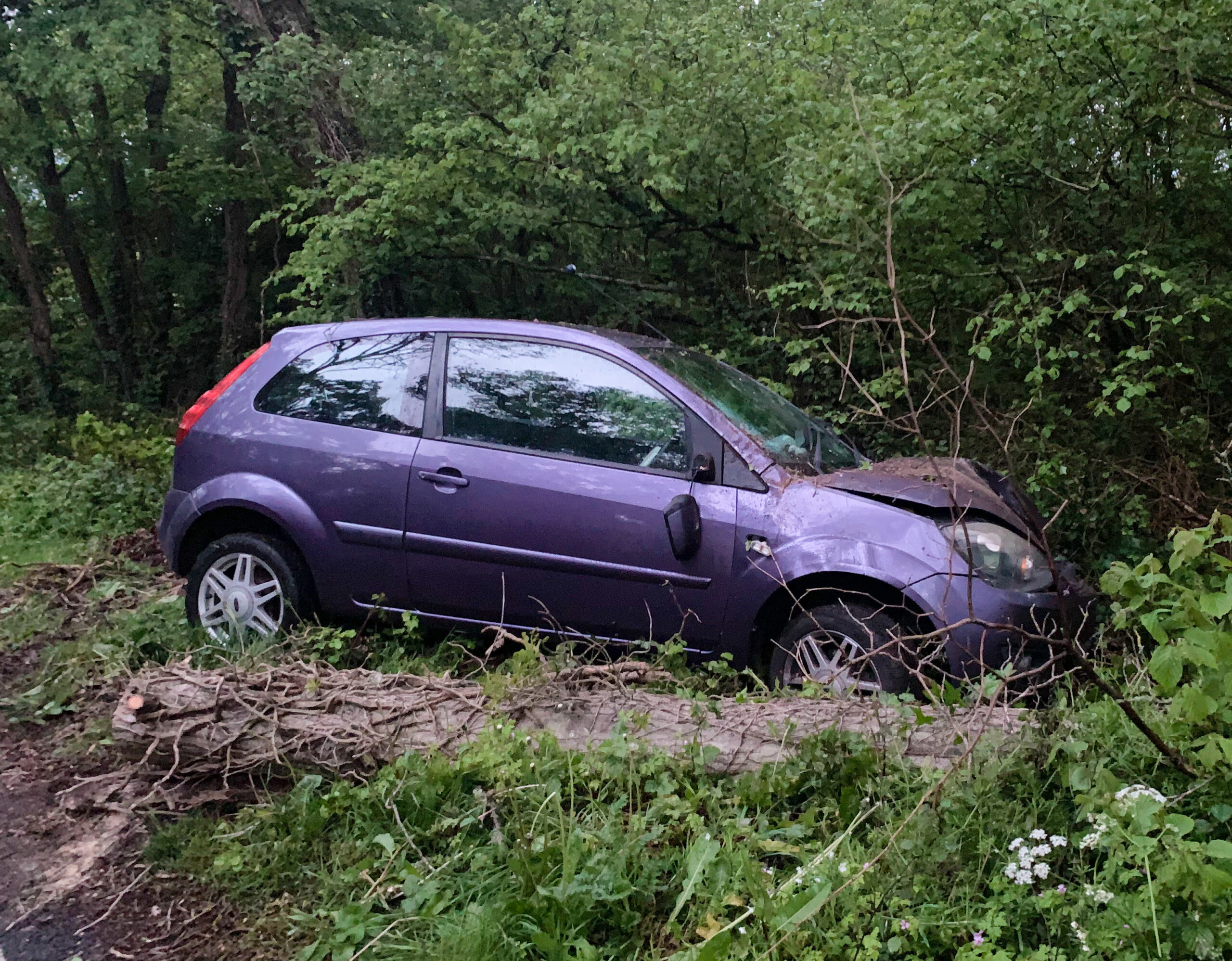 DRIVER SUFFERS MINOR INJURIES AFTER CAR HITS TREE