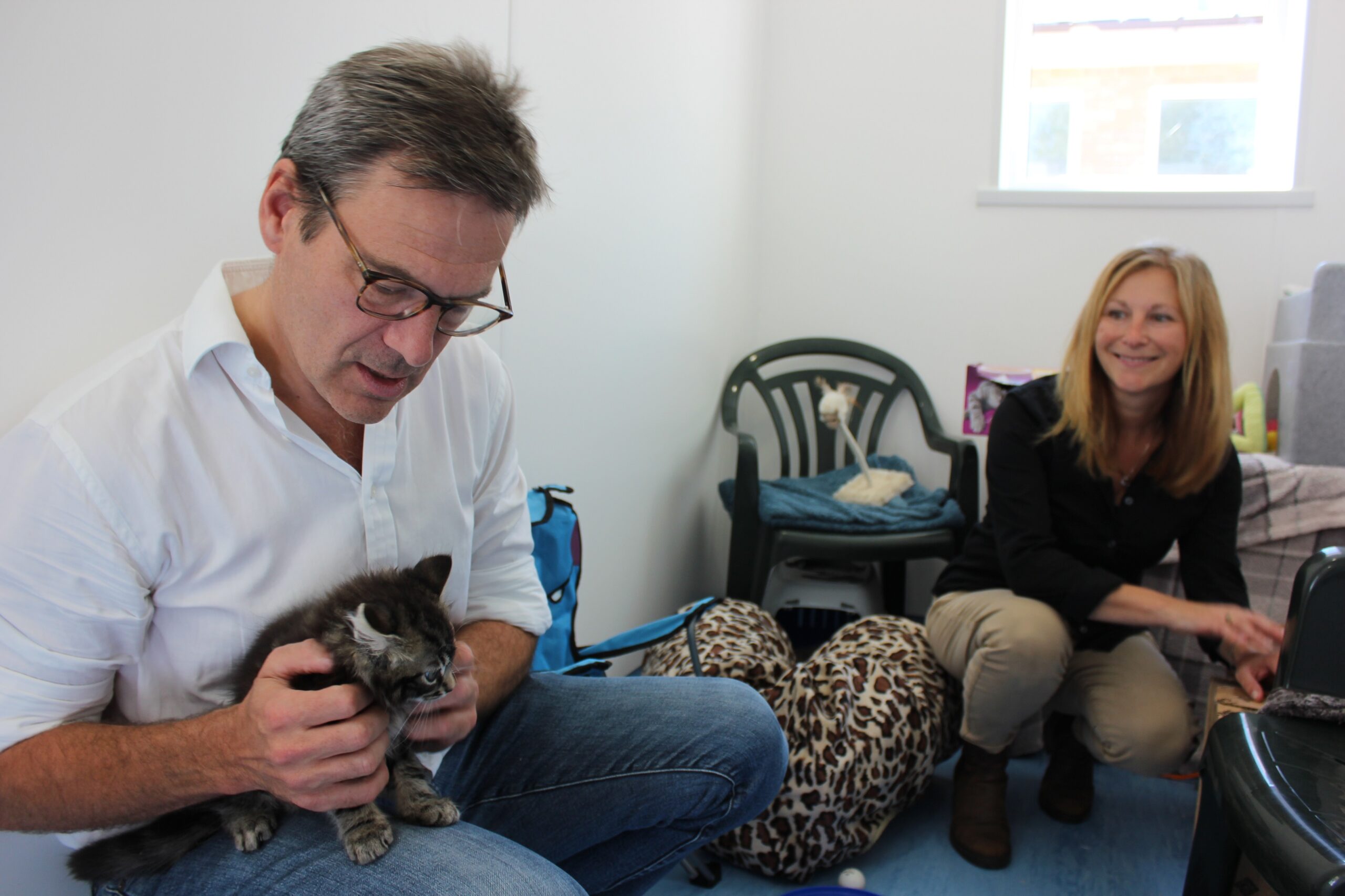 VIRTUAL FUN DAY TO CELEBRATE ISLAND’S MOST ADORABLE PETS