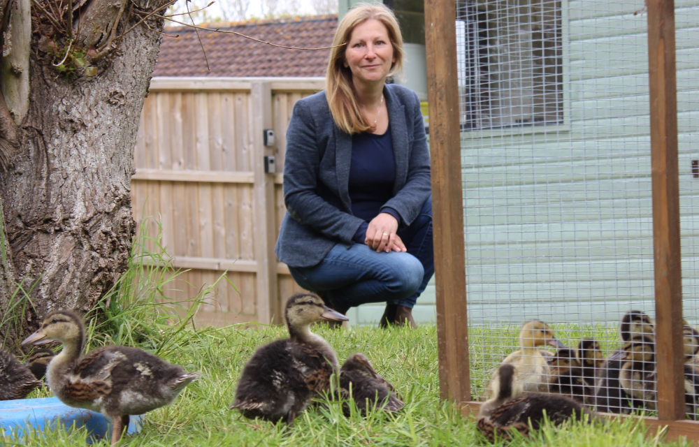JAILBIRDS ‘HARASSED BY CROWS’ AMONG FEATHERED FRIENDS FLOCKING TO THE RSPCA