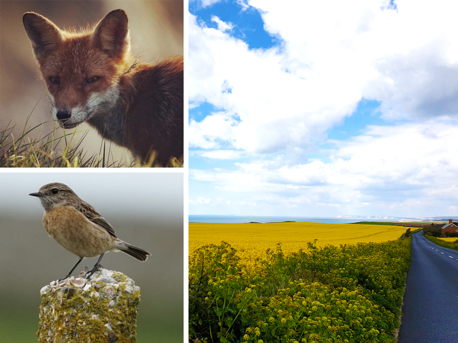 READERS’ GALLERY: 14TH MAY 2021