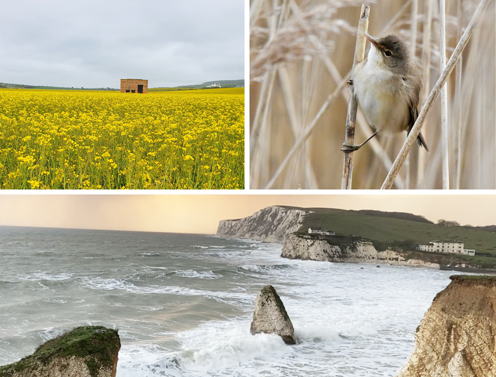 READERS’ GALLERY: 21ST MAY 2021