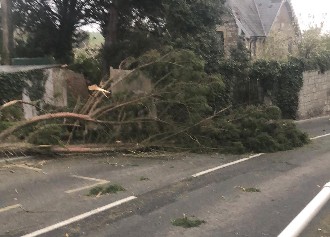 FALLEN TREE PARTIALLY BLOCKS ROAD THROUGH WROXALL