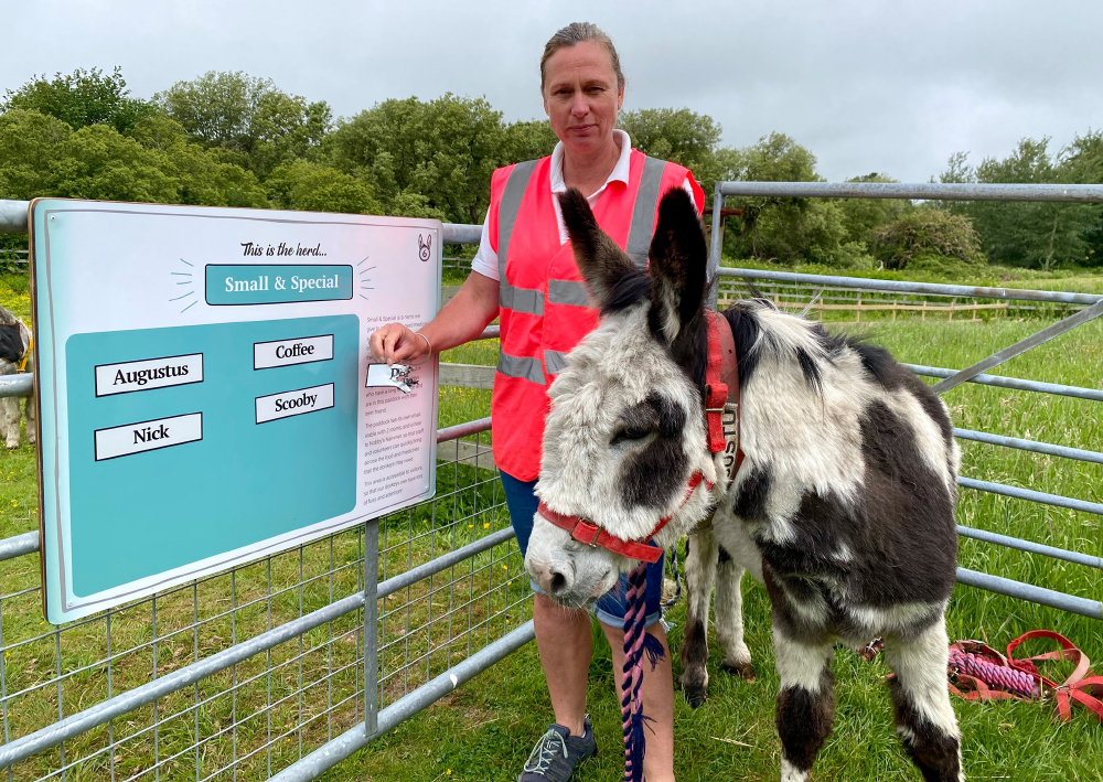 SIGN OF THE TIMES: VANDALS CAUSE DAMAGE AT THE DONKEY SANCTUARY