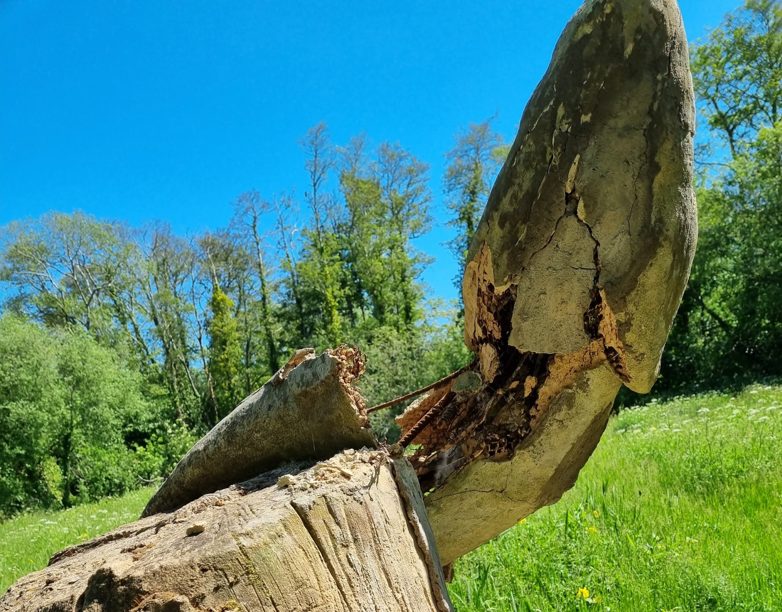 RESIDENT’S DISMAY AS EEL STATUE VANDALISED IN NEWPORT