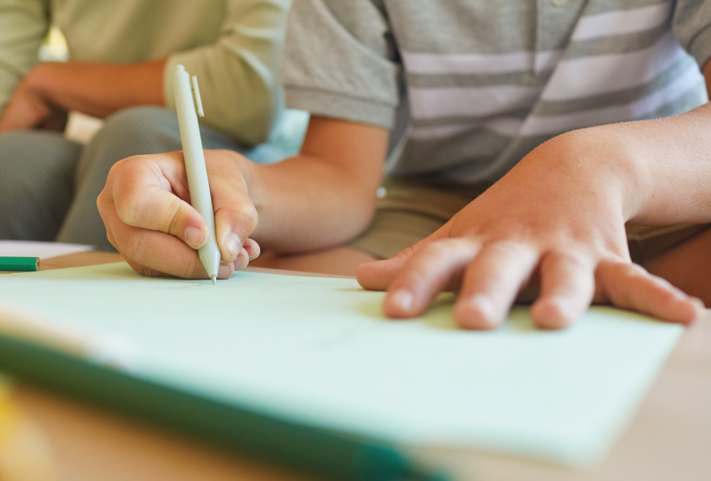 RISE IN NUMBER OF ISLE OF WIGHT SCHOOLCHILDREN WITH EDUCATION, HEALTH AND CARE PLAN