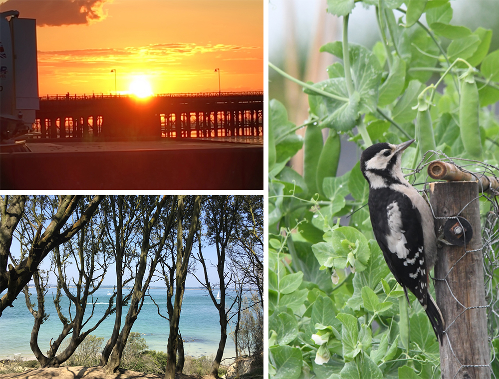 READERS’ GALLERY: 25TH JUNE 2021
