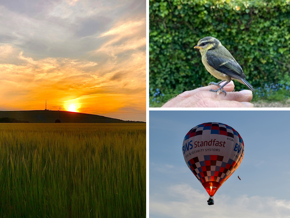 READERS’ GALLERY: 4TH JUNE 2021