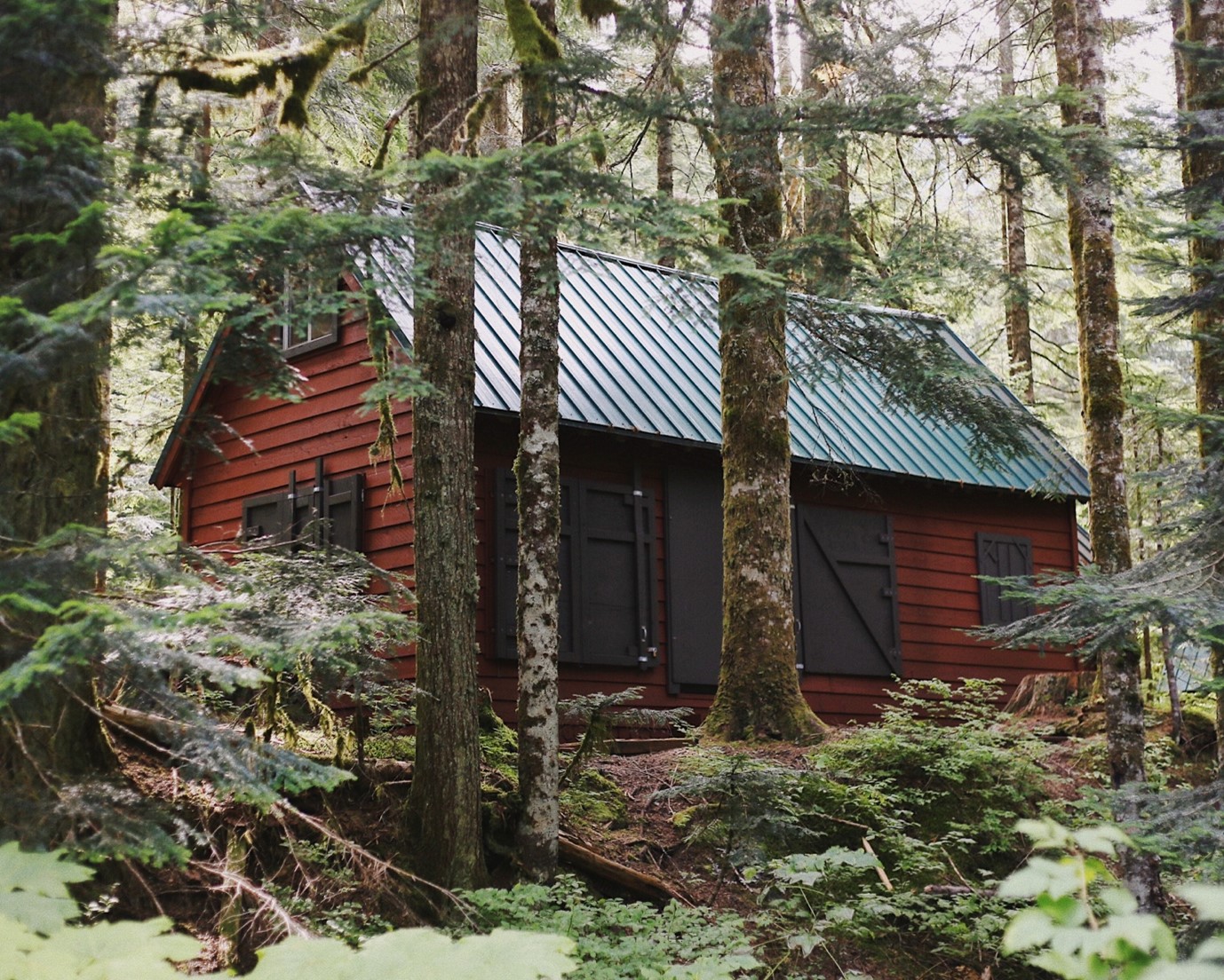 WHERE SHOULD YOU BUILD A RESIDENTIAL LOG CABIN?