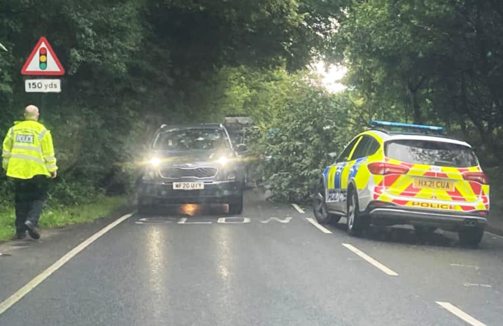 FALLEN TREE BLOCKS MAIN ROAD FROM RYDE TO SANDOWN