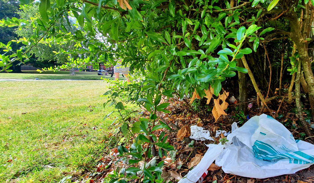 LOVE, PROTECT AND RESPECT OUR PARKS THIS SUMMER TO HELP KEEP THE ISLAND CLEAN AND TIDY