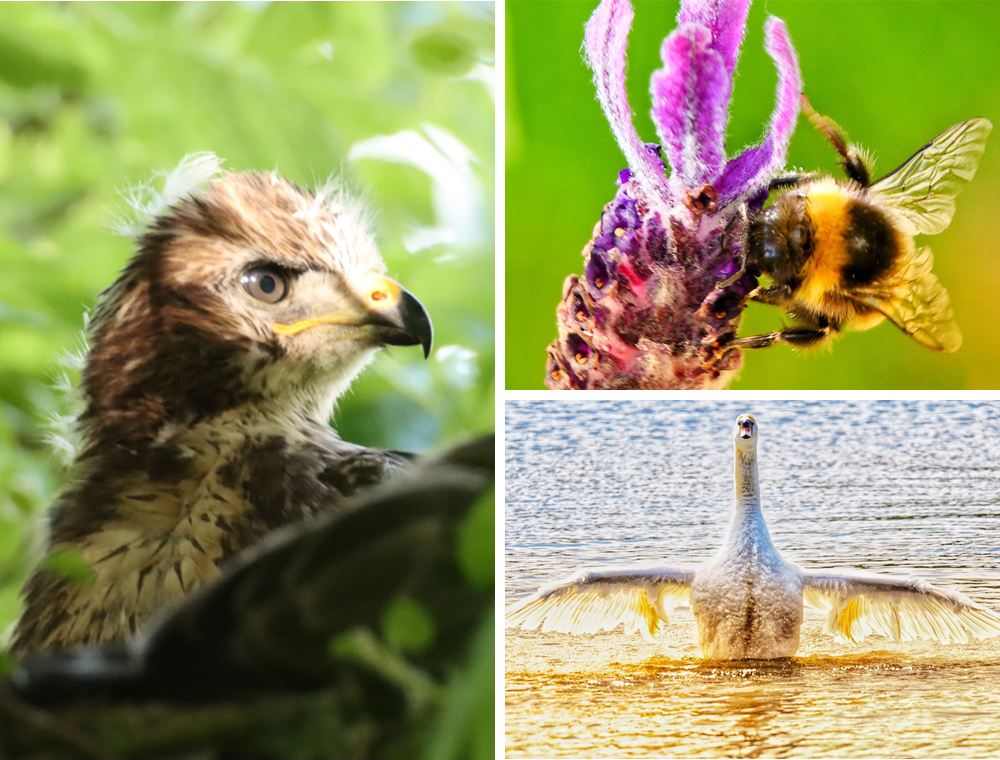 READERS’ GALLERY: 2ND JULY 2021