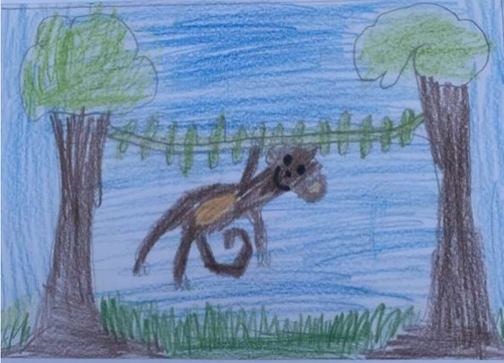 WILDHEART ANIMAL SANCTUARY ANNOUNCES WINNERS OF POSTCARD COMPETITION