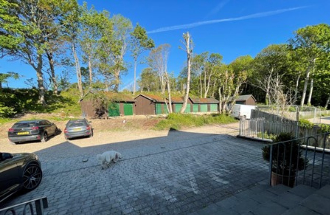 FELLING OF ANCIENT WOODLAND UNDER INVESTIGATION AFTER UPROAR BY SEAVIEW RESIDENTS