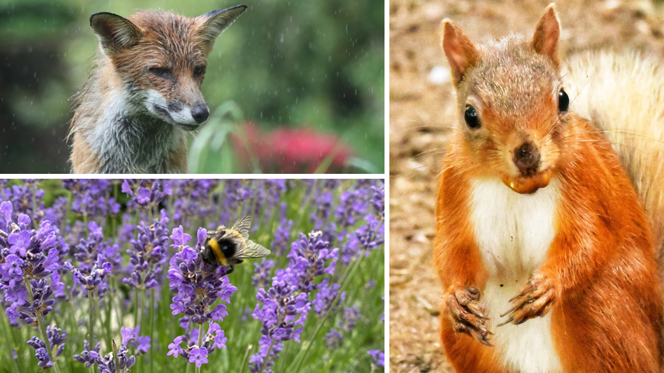 READERS’ GALLERY: 9TH JULY 2021