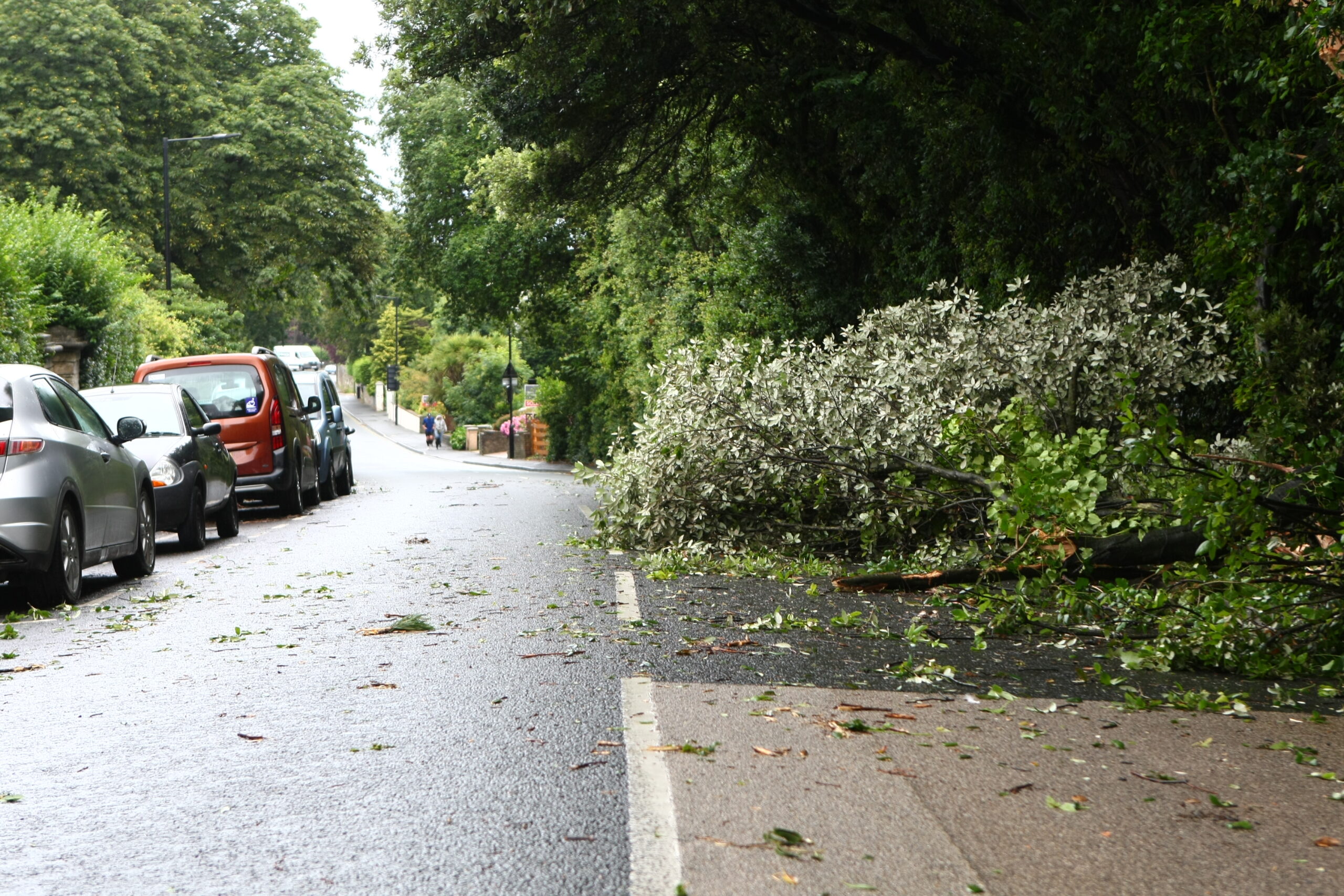ROAD PARTIALLY BLOCKED AS LORRY STRIKES TREE IN RYDE