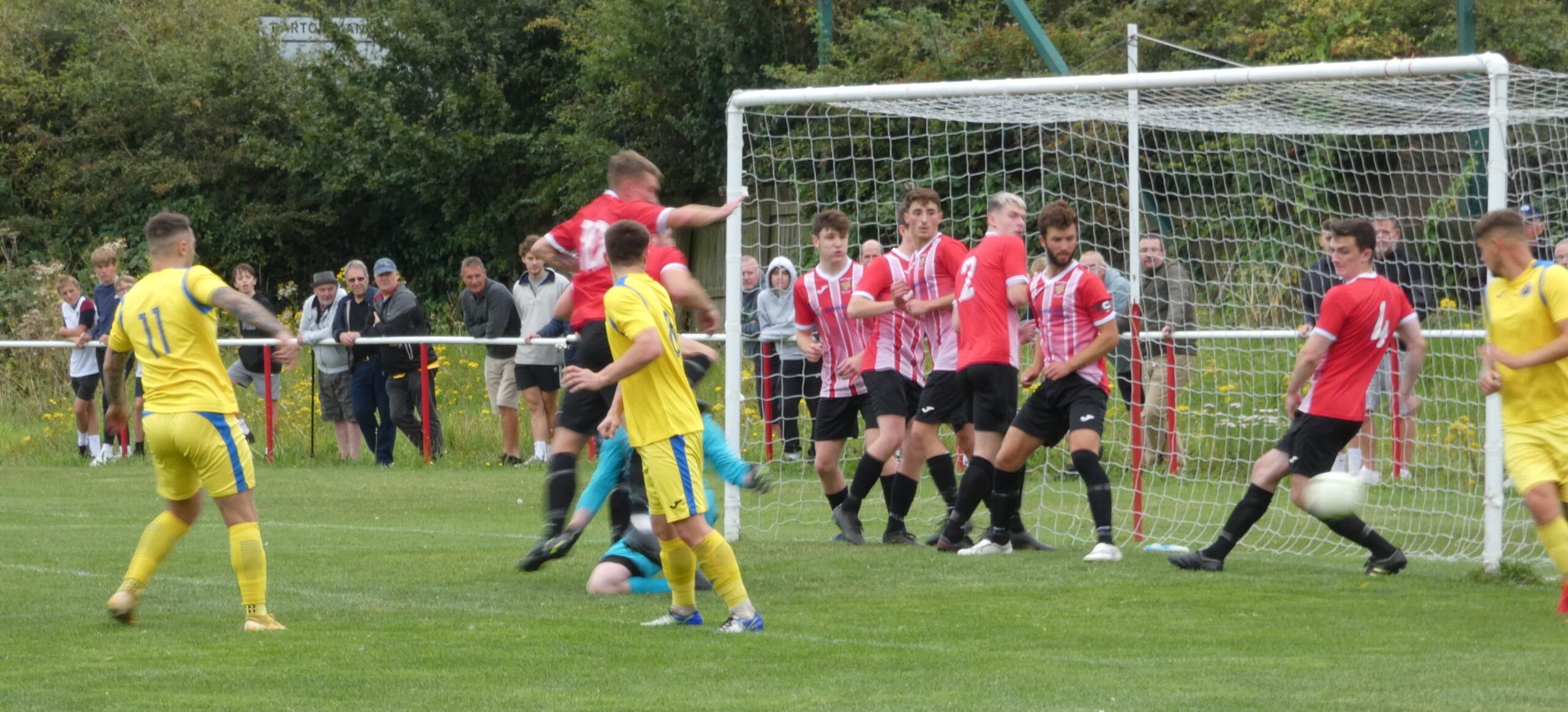 TOP-OF-THE-TABLE NEWPORT KNOCK 5 PAST VICS