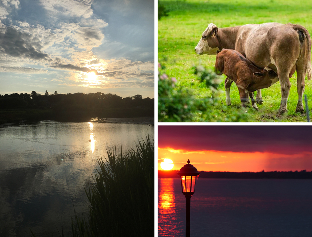 READERS’ GALLERY: 13TH AUGUST 2021