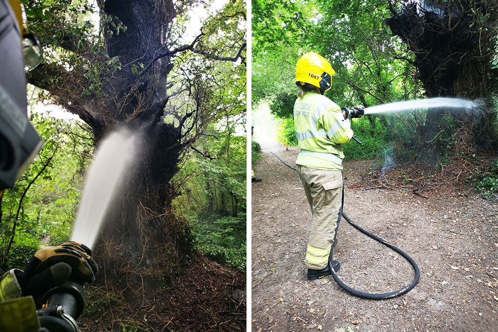TREE ALIGHT EXTINGUISHED BY RYDE FIREFIGHTERS AND YOUNG LOCAL RESIDENT