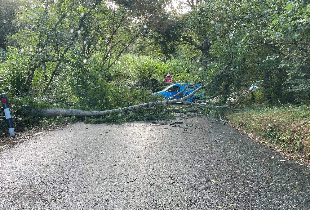 TRAVEL DISRUPTION AND POWER OUTAGES AS ADVERSE WEATHER HITS
