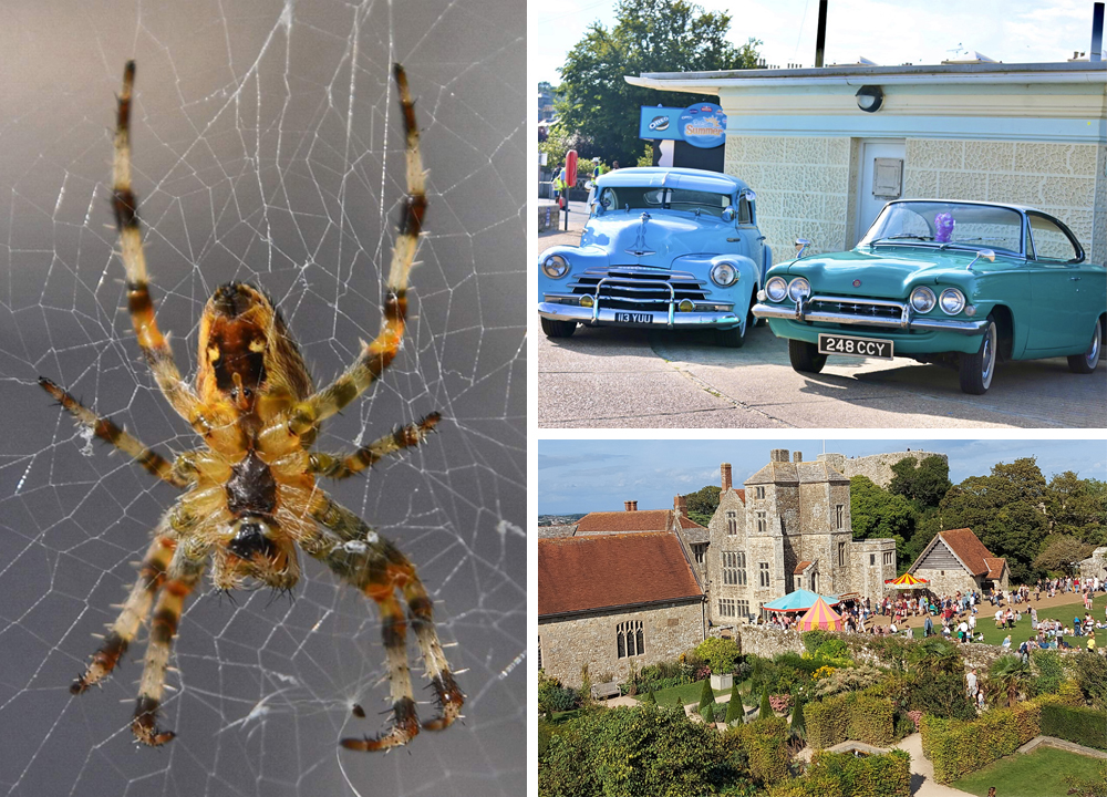 READERS’ GALLERY: 17TH SEPTEMBER 2021