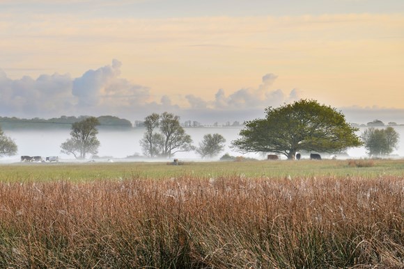 NEW MISSION ZERO ENVIRONMENT STRATEGY TO BE DISCUSSED BY COUNCIL CABINET