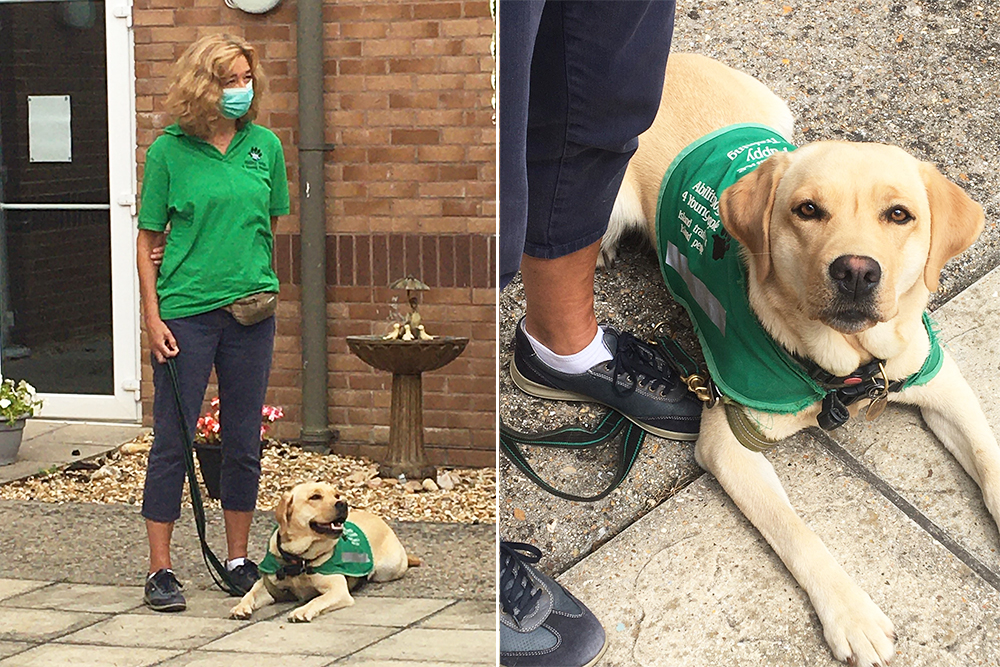ORCHARD HOUSE RESIDENTS CELEBRATE NATIONAL DOG DAY WITH SOME FURRY VISITORS