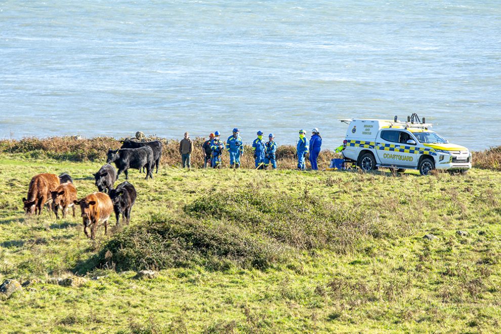 COW RESCUED FROM BOTTOM OF CLIFF AT ST CATHERINE'S POINT - Island Echo ...