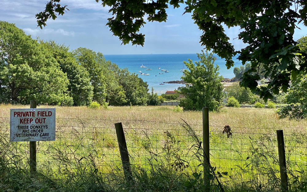 WHAT AN ETON MESS! 150 OBJECTORS SAY NO TO COLLEGE’S PLANS FOR DONKEY FIELD