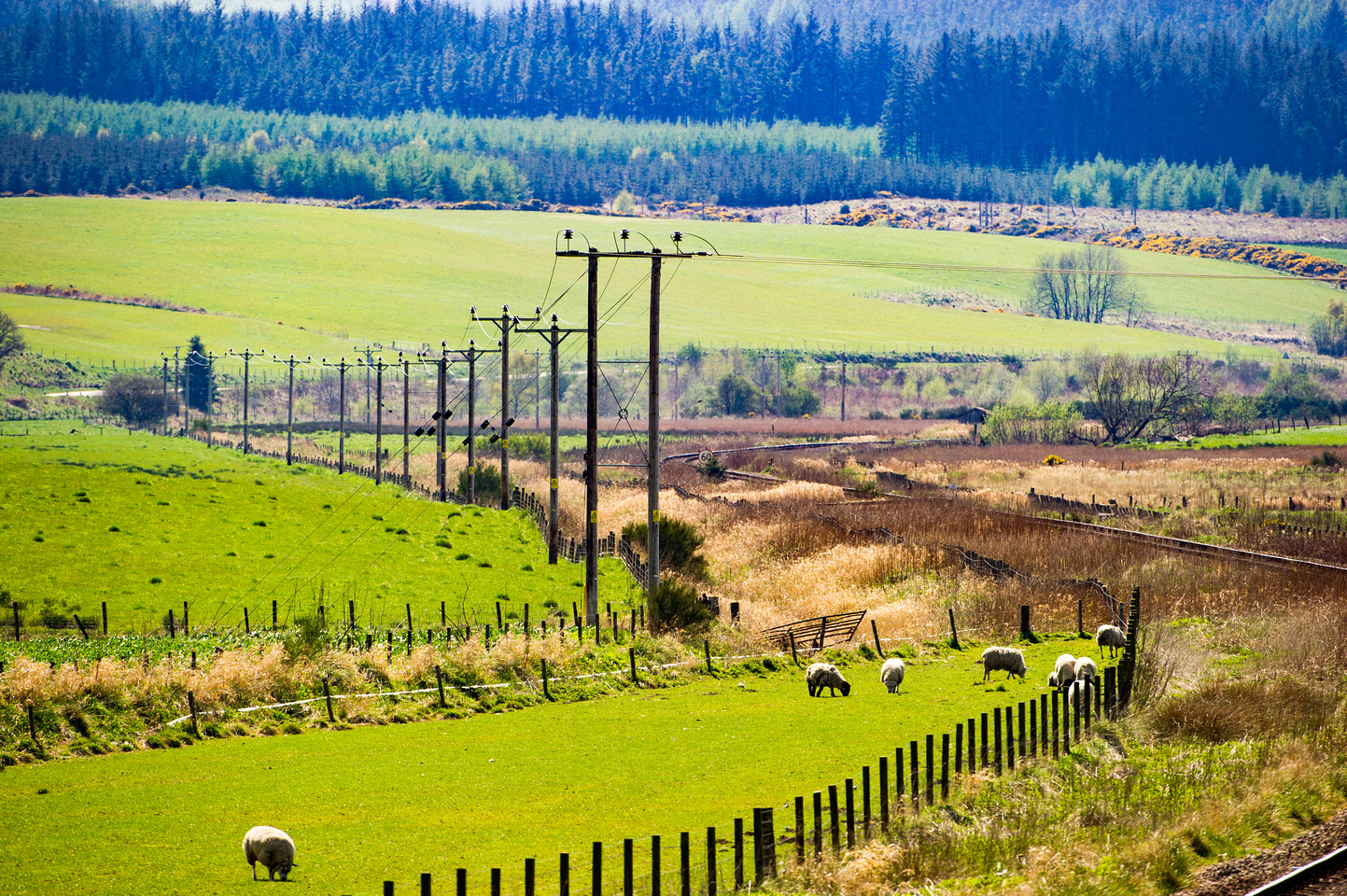 SSEN SETS AMBITIOUS CARBON EMISSION TARGETS