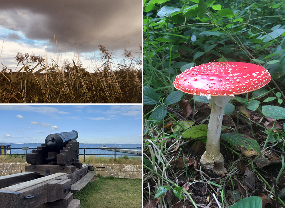 READERS’ GALLERY: 15TH OCTOBER 2021