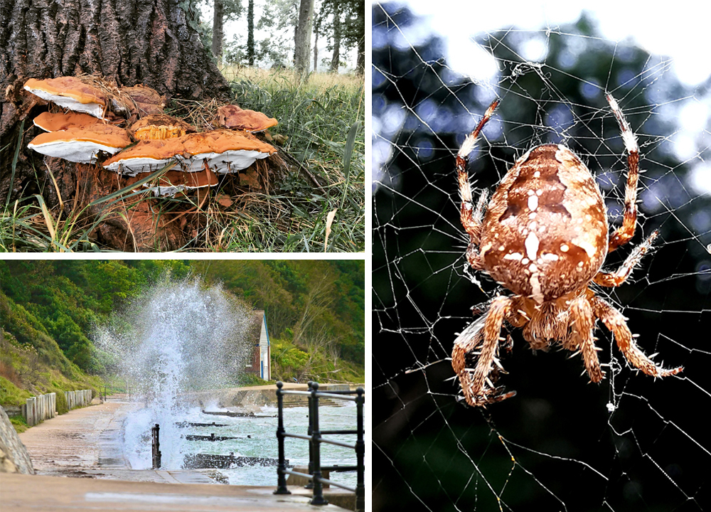 READERS’ GALLERY: 8TH OCTOBER 2021