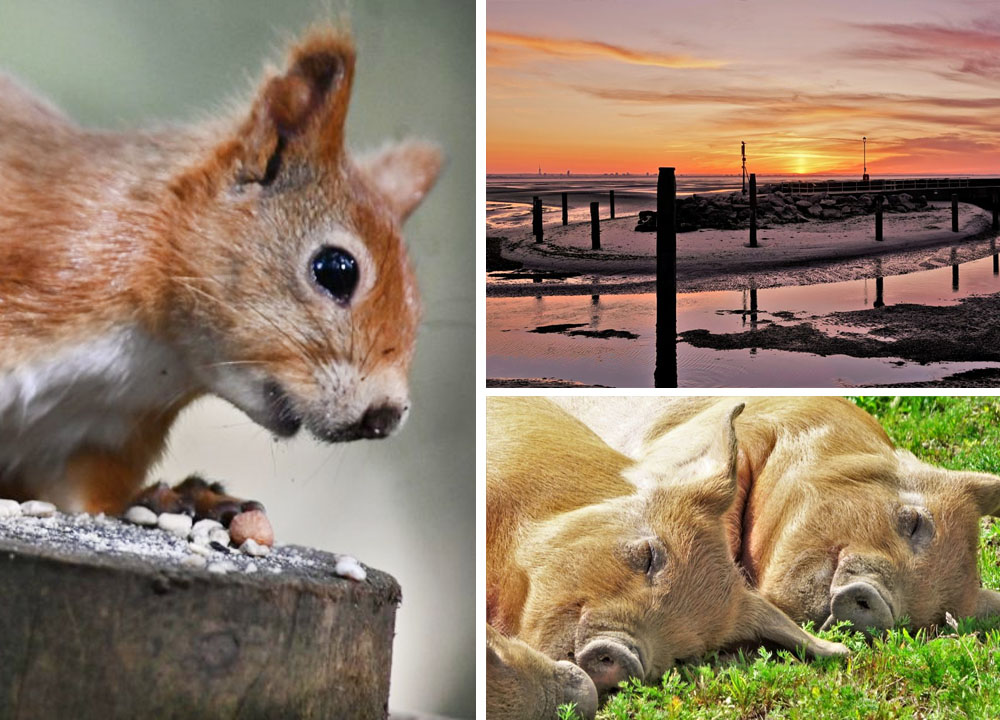 READERS’ GALLERY: 29TH OCTOBER 2021