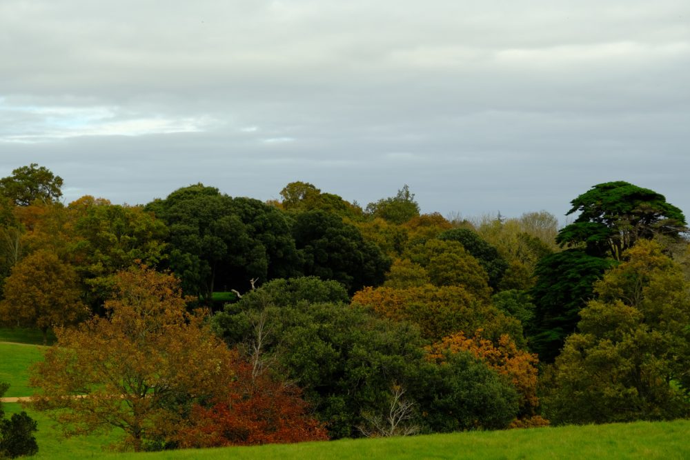 Dscf2862