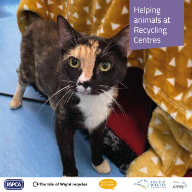 Rspca 2 1