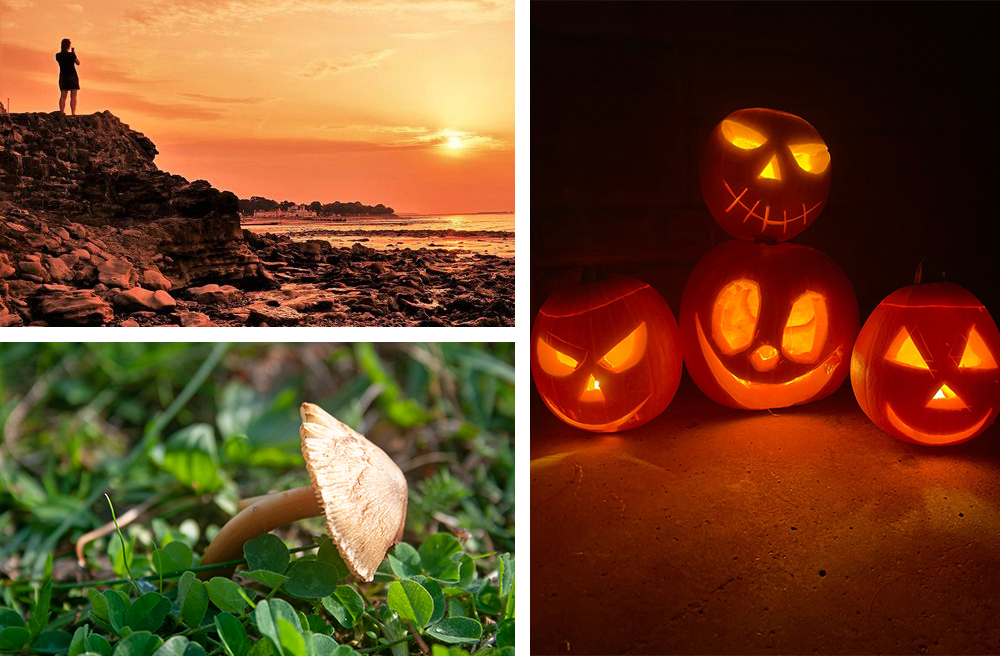READERS’ GALLERY: 5TH NOVEMBER 2021